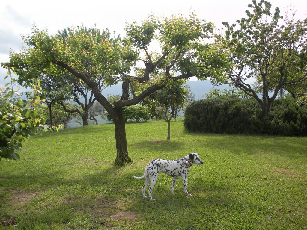Le Stagioni Pension Loreto Aprutino Buitenkant foto